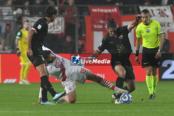 2024-10-29 - leonardo mancuso (mantova) and Dimitrios Nikolaou (Palermo) - MANTOVA 1911 VS PALERMO FC - ITALIAN SERIE B - SOCCER