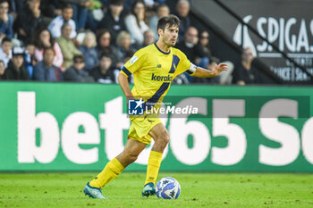 02/11/2024 - Fabio Gerli (Modena) - SPEZIA CALCIO VS MODENA FC - SERIE B - CALCIO