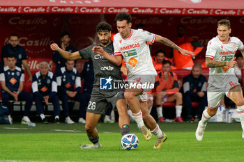 02/11/2024 - Lorenzo Lucchesi of AC Reggiana in action against Nunzio Lella of SSC Bari - SSC BARI VS AC REGGIANA - SERIE B - CALCIO