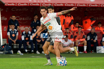 02/11/2024 - Lorenzo Lucchesi of AC Reggiana in action against Nunzio Lella of SSC Bari - SSC BARI VS AC REGGIANA - SERIE B - CALCIO