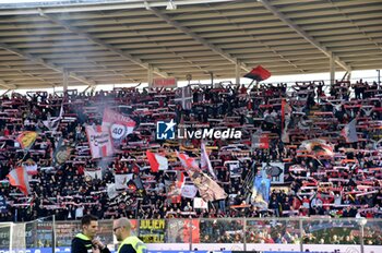 03/11/2024 - Fans Cremonese - US CREMONESE VS AC PISA - SERIE B - CALCIO