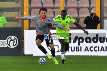 03/11/2024 - Leonardo Sernicola (Cremonese) Idrissa Toure' (Pisa) - US CREMONESE VS AC PISA - SERIE B - CALCIO