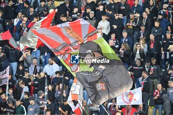 03/11/2024 - Fans of Cremonese - US CREMONESE VS AC PISA - SERIE B - CALCIO