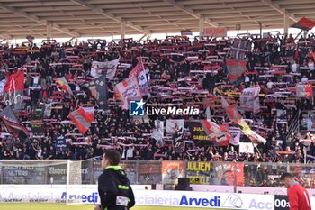 03/11/2024 - Fans of Cremonese - US CREMONESE VS AC PISA - SERIE B - CALCIO