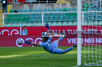 03/11/2024 - Sebastiano Desplanches (Palermo F.C.) during the Italian Serie BKT match between Palermo F.C. vs A.S. Cittadella 1973 on 3rd November 2024 at the Renzo Barbera stadium in Palermo, Italy - PALERMO FC VS AS CITTADELLA - SERIE B - CALCIO