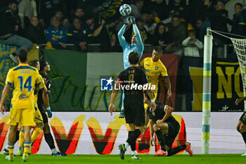 08/11/2024 - Sebastiano Desplanches (Palermo F.C.saves the ball during the Italian Serie BKT match between Frosinone Calcio vs. Palermo F.C. on 8th November 2024 at the Benito Stirpe stadium in Frosinone, Italy - FROSINONE CALCIO VS PALERMO FC - SERIE B - CALCIO