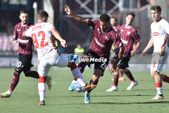 2024-09-29 - Mario Situm of US Catanzaro competes for the ball with Andres Tello of US Salernitana 1919 during the Serie b bkt betwee US Salernitana 1919 vs US Catanzaro at Arechi Stadium - US SALERNITANA VS US CATANZARO - ITALIAN SERIE B - SOCCER