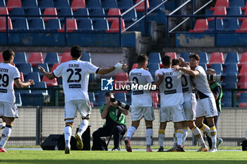 2024-10-26 - Juve Stabia celebrate during Cosenza Calcio vs SS Juve Stabia, Italian soccer Serie A match in Cosenza, Italy, October 26 2024 - COSENZA CALCIO VS SS JUVE STABIA - ITALIAN SERIE B - SOCCER