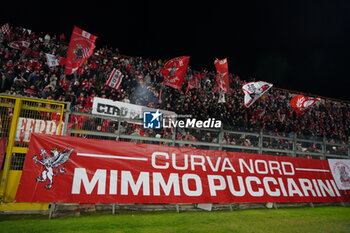 2024-11-22 - fan's perugia calcio - PERUGIA VS AREZZO - ITALIAN SERIE C - SOCCER