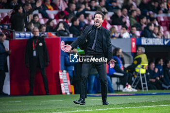 2024-01-25 - Diego Pablo Simeone, head coach of Atletico Madrid seen screaming and inciting the crowd during the football match valid for quarter finals of the Copa del Rey tournament between Atletico Madrid and Sevilla played at Estadio Metropolitano in Madrid, Spain. - ATLETICO MADRID VS SEVILLA - SPANISH CUP - SOCCER
