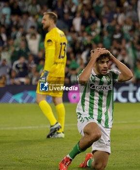 2024-10-27 - La Liga EA Sports soccer match Betis vs Atletico de Madrid at Benito Villamarin Stadium in Sevilla, Spain 27 October 2024 27/10/2024 SEVILLA JORNADA11 LIGA 1ª DIVISION ESTADIO BENITO VILLAMARIN 900/Cordon Press - LA LIGA: BETIS VS ATLETICO DE MADRID - SPANISH LA LIGA - SOCCER