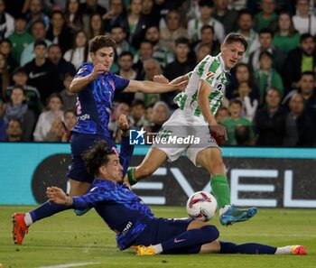 2024-10-27 - La Liga EA Sports soccer match Betis vs Atletico de Madrid at Benito Villamarin Stadium in Sevilla, Spain 27 October 2024 27/10/2024 SEVILLA JORNADA11 LIGA 1ª DIVISION ESTADIO BENITO VILLAMARIN 900/Cordon Press - LA LIGA: BETIS VS ATLETICO DE MADRID - SPANISH LA LIGA - SOCCER