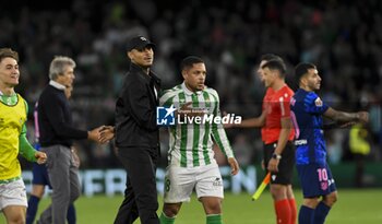 2024-10-27 - La Liga EA Sports soccer match Betis vs Atletico de Madrid at Benito Villamarin Stadium in Sevilla, Spain 27 October 2024 27/10/2024 SEVILLA JORNADA11 LIGA 1ª DIVISION ESTADIO BENITO VILLAMARIN 900/Cordon Press - LA LIGA: BETIS VS ATLETICO DE MADRID - SPANISH LA LIGA - SOCCER