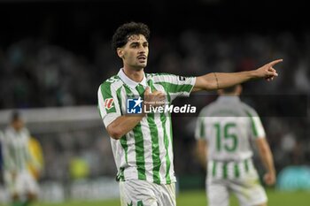 2024-10-27 - La Liga EA Sports soccer match Betis vs Atletico de Madrid at Benito Villamarin Stadium in Sevilla, Spain 27 October 2024 27/10/2024 SEVILLA JORNADA11 LIGA 1ª DIVISION ESTADIO BENITO VILLAMARIN 900/Cordon Press - LA LIGA: BETIS VS ATLETICO DE MADRID - SPANISH LA LIGA - SOCCER