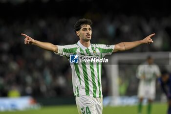 2024-10-27 - La Liga EA Sports soccer match Betis vs Atletico de Madrid at Benito Villamarin Stadium in Sevilla, Spain 27 October 2024 27/10/2024 SEVILLA JORNADA11 LIGA 1ª DIVISION ESTADIO BENITO VILLAMARIN 900/Cordon Press - LA LIGA: BETIS VS ATLETICO DE MADRID - SPANISH LA LIGA - SOCCER