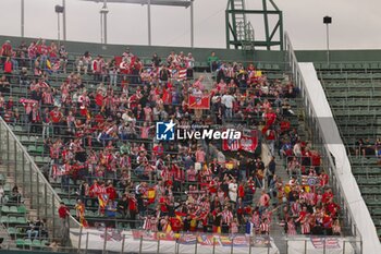 2024-10-27 - La Liga EA Sports soccer match Betis vs Atletico de Madrid at Benito Villamarin Stadium in Sevilla, Spain 27 October 2024 27/10/2024 SEVILLA JORNADA11 LIGA 1ª DIVISION ESTADIO BENITO VILLAMARIN 900/Cordon Press - LA LIGA: BETIS VS ATLETICO DE MADRID - SPANISH LA LIGA - SOCCER