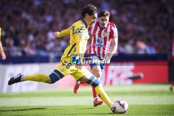 2024-11-03 - Spanish La Liga EA Sports soccer match Atletico de Madrid vs Las Palmas at Riyadh Air Metropolitano Stadium in Madrid, Spain 03 November 2024 900/Cordon Press - LA LIGA: ATLETICO DE MADRID VS LAS PALMAS - SPANISH LA LIGA - SOCCER