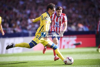 2024-11-03 - Spanish La Liga EA Sports soccer match Atletico de Madrid vs Las Palmas at Riyadh Air Metropolitano Stadium in Madrid, Spain 03 November 2024 900/Cordon Press - LA LIGA: ATLETICO DE MADRID VS LAS PALMAS - SPANISH LA LIGA - SOCCER