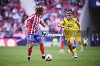 2024-11-03 - Spanish La Liga EA Sports soccer match Atletico de Madrid vs Las Palmas at Riyadh Air Metropolitano Stadium in Madrid, Spain 03 November 2024 Griezmann 900/Cordon Press - LA LIGA: ATLETICO DE MADRID VS LAS PALMAS - SPANISH LA LIGA - SOCCER