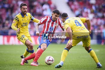 2024-11-03 - Spanish La Liga EA Sports soccer match Atletico de Madrid vs Las Palmas at Riyadh Air Metropolitano Stadium in Madrid, Spain 03 November 2024 Correa 900/Cordon Press - LA LIGA: ATLETICO DE MADRID VS LAS PALMAS - SPANISH LA LIGA - SOCCER