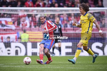 2024-11-03 - Spanish La Liga EA Sports soccer match Atletico de Madrid vs Las Palmas at Riyadh Air Metropolitano Stadium in Madrid, Spain 03 November 2024 Da Paul 900/Cordon Press - LA LIGA: ATLETICO DE MADRID VS LAS PALMAS - SPANISH LA LIGA - SOCCER