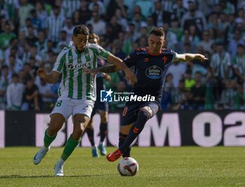 2024-11-10 - Spanish La Liga EA Sports soccer match Betis vs Celta de Vigo at Benito Villamarin stadium in Sevilla, Spain 10 November 2024 JORNADA 13 LIGA EA SPORTS 1ª DIVISION ESTADIO BENITO VILLAMARIN BETIS -R.C.CELTA DE VIGO 900/Cordon Press - LA LIGA: BETIS VS CELTA DE VIGO - SPANISH LA LIGA - SOCCER