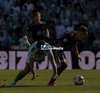 2024-11-10 - Spanish La Liga EA Sports soccer match Betis vs Celta de Vigo at Benito Villamarin stadium in Sevilla, Spain 10 November 2024 JORNADA 13 LIGA EA SPORTS 1ª DIVISION ESTADIO BENITO VILLAMARIN BETIS -R.C.CELTA DE VIGO 900/Cordon Press - LA LIGA: BETIS VS CELTA DE VIGO - SPANISH LA LIGA - SOCCER