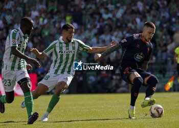 2024-11-10 - Spanish La Liga EA Sports soccer match Betis vs Celta de Vigo at Benito Villamarin stadium in Sevilla, Spain 10 November 2024 JORNADA 13 LIGA EA SPORTS 1ª DIVISION ESTADIO BENITO VILLAMARIN BETIS -R.C.CELTA DE VIGO 900/Cordon Press - LA LIGA: BETIS VS CELTA DE VIGO - SPANISH LA LIGA - SOCCER