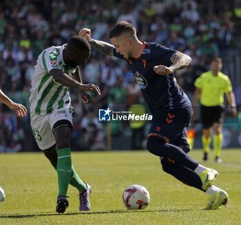 2024-11-10 - Spanish La Liga EA Sports soccer match Betis vs Celta de Vigo at Benito Villamarin stadium in Sevilla, Spain 10 November 2024 JORNADA 13 LIGA EA SPORTS 1ª DIVISION ESTADIO BENITO VILLAMARIN BETIS -R.C.CELTA DE VIGO 900/Cordon Press - LA LIGA: BETIS VS CELTA DE VIGO - SPANISH LA LIGA - SOCCER