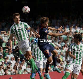 2024-11-10 - Spanish La Liga EA Sports soccer match Betis vs Celta de Vigo at Benito Villamarin stadium in Sevilla, Spain 10 November 2024 JORNADA 13 LIGA EA SPORTS 1ª DIVISION ESTADIO BENITO VILLAMARIN BETIS -R.C.CELTA DE VIGO 900/Cordon Press - LA LIGA: BETIS VS CELTA DE VIGO - SPANISH LA LIGA - SOCCER