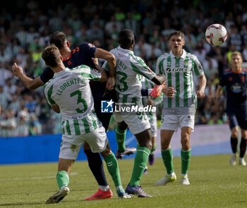 2024-11-10 - Spanish La Liga EA Sports soccer match Betis vs Celta de Vigo at Benito Villamarin stadium in Sevilla, Spain 10 November 2024 JORNADA 13 LIGA EA SPORTS 1ª DIVISION ESTADIO BENITO VILLAMARIN BETIS -R.C.CELTA DE VIGO 900/Cordon Press - LA LIGA: BETIS VS CELTA DE VIGO - SPANISH LA LIGA - SOCCER