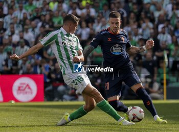 2024-11-10 - Spanish La Liga EA Sports soccer match Betis vs Celta de Vigo at Benito Villamarin stadium in Sevilla, Spain 10 November 2024 JORNADA 13 LIGA EA SPORTS 1ª DIVISION ESTADIO BENITO VILLAMARIN BETIS -R.C.CELTA DE VIGO 900/Cordon Press - LA LIGA: BETIS VS CELTA DE VIGO - SPANISH LA LIGA - SOCCER