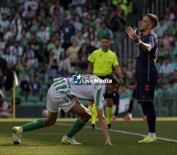 2024-11-10 - Spanish La Liga EA Sports soccer match Betis vs Celta de Vigo at Benito Villamarin stadium in Sevilla, Spain 10 November 2024 JORNADA 13 LIGA EA SPORTS 1ª DIVISION ESTADIO BENITO VILLAMARIN BETIS -R.C.CELTA DE VIGO 900/Cordon Press - LA LIGA: BETIS VS CELTA DE VIGO - SPANISH LA LIGA - SOCCER