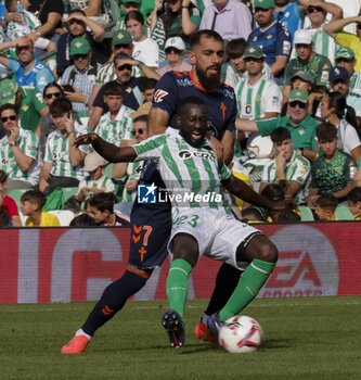 2024-11-10 - Spanish La Liga EA Sports soccer match Betis vs Celta de Vigo at Benito Villamarin stadium in Sevilla, Spain 10 November 2024 JORNADA 13 LIGA EA SPORTS 1ª DIVISION ESTADIO BENITO VILLAMARIN BETIS -R.C.CELTA DE VIGO 900/Cordon Press - LA LIGA: BETIS VS CELTA DE VIGO - SPANISH LA LIGA - SOCCER