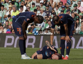 2024-11-10 - Spanish La Liga EA Sports soccer match Betis vs Celta de Vigo at Benito Villamarin stadium in Sevilla, Spain 10 November 2024 JORNADA 13 LIGA EA SPORTS 1ª DIVISION ESTADIO BENITO VILLAMARIN BETIS -R.C.CELTA DE VIGO 900/Cordon Press - LA LIGA: BETIS VS CELTA DE VIGO - SPANISH LA LIGA - SOCCER