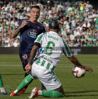 2024-11-10 - Spanish La Liga EA Sports soccer match Betis vs Celta de Vigo at Benito Villamarin stadium in Sevilla, Spain 10 November 2024 JORNADA 13 LIGA EA SPORTS 1ª DIVISION ESTADIO BENITO VILLAMARIN BETIS -R.C.CELTA DE VIGO 900/Cordon Press - LA LIGA: BETIS VS CELTA DE VIGO - SPANISH LA LIGA - SOCCER