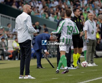 2024-11-10 - Spanish La Liga EA Sports soccer match Betis vs Celta de Vigo at Benito Villamarin stadium in Sevilla, Spain 10 November 2024 JORNADA 13 LIGA EA SPORTS 1ª DIVISION ESTADIO BENITO VILLAMARIN BETIS -R.C.CELTA DE VIGO 900/Cordon Press - LA LIGA: BETIS VS CELTA DE VIGO - SPANISH LA LIGA - SOCCER