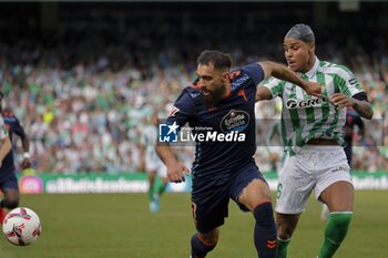 2024-11-10 - Spanish La Liga EA Sports soccer match Betis vs Celta de Vigo at Benito Villamarin stadium in Sevilla, Spain 10 November 2024 JORNADA 13 LIGA EA SPORTS 1ª DIVISION ESTADIO BENITO VILLAMARIN BETIS -R.C.CELTA DE VIGO 900/Cordon Press - LA LIGA: BETIS VS CELTA DE VIGO - SPANISH LA LIGA - SOCCER