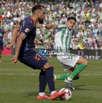 2024-11-10 - Spanish La Liga EA Sports soccer match Betis vs Celta de Vigo at Benito Villamarin stadium in Sevilla, Spain 10 November 2024 JORNADA 13 LIGA EA SPORTS 1ª DIVISION ESTADIO BENITO VILLAMARIN BETIS -R.C.CELTA DE VIGO 900/Cordon Press - LA LIGA: BETIS VS CELTA DE VIGO - SPANISH LA LIGA - SOCCER