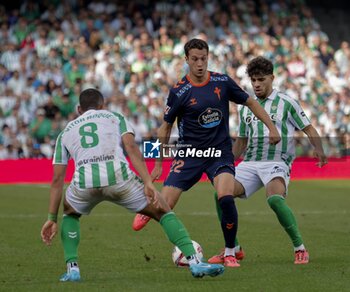 2024-11-10 - Spanish La Liga EA Sports soccer match Betis vs Celta de Vigo at Benito Villamarin stadium in Sevilla, Spain 10 November 2024 JORNADA 13 LIGA EA SPORTS 1ª DIVISION ESTADIO BENITO VILLAMARIN BETIS -R.C.CELTA DE VIGO 900/Cordon Press - LA LIGA: BETIS VS CELTA DE VIGO - SPANISH LA LIGA - SOCCER