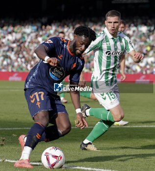 2024-11-10 - Spanish La Liga EA Sports soccer match Betis vs Celta de Vigo at Benito Villamarin stadium in Sevilla, Spain 10 November 2024 JORNADA 13 LIGA EA SPORTS 1ª DIVISION ESTADIO BENITO VILLAMARIN BETIS -R.C.CELTA DE VIGO 900/Cordon Press - LA LIGA: BETIS VS CELTA DE VIGO - SPANISH LA LIGA - SOCCER