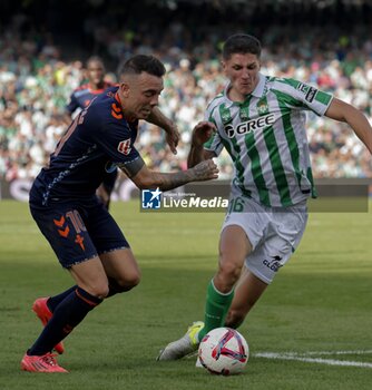 2024-11-10 - Spanish La Liga EA Sports soccer match Betis vs Celta de Vigo at Benito Villamarin stadium in Sevilla, Spain 10 November 2024 JORNADA 13 LIGA EA SPORTS 1ª DIVISION ESTADIO BENITO VILLAMARIN BETIS -R.C.CELTA DE VIGO 900/Cordon Press - LA LIGA: BETIS VS CELTA DE VIGO - SPANISH LA LIGA - SOCCER