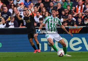 2024-11-23 - Spainish La Liga EA Sports soccer match Valencia vs Betis at Mestalla stadium in Valencia, Spain 23 November 2024 900/Cordon Press - LA LIGA: VALENCIA VS BETIS - SPANISH LA LIGA - SOCCER