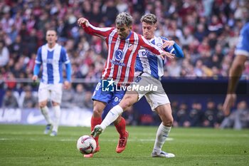 2024-11-23 - Spanish La Liga EA Sports soccer match Atletico de Madrid vs Alaves at Riyadh Air Metropolitano in Madrid, Spain, 23 November 2024 900/Cordon Press - LA LIGA: ATLETICO DE MADRID VS ALAVES - SPANISH LA LIGA - SOCCER