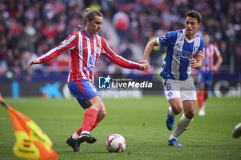 2024-11-23 - Spanish La Liga EA Sports soccer match Atletico de Madrid vs Alaves at Riyadh Air Metropolitano in Madrid, Spain, 23 November 2024 900/Cordon Press - LA LIGA: ATLETICO DE MADRID VS ALAVES - SPANISH LA LIGA - SOCCER