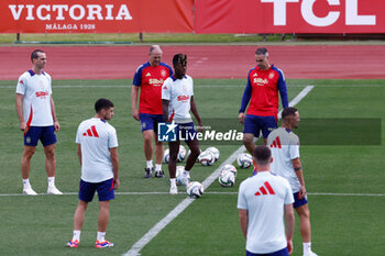 2024-09-04 - Nico Williams during the training session of Spain Team ahead the UEFA Nations League matches against Serbia and Switzerland at Ciudad del Futbol on September 04, 2024, in Las Rozas, Madrid, Spain. Photo Dennis Agyeman / SpainDPPI / DPPI - FOOTBALL - SPAIN TRAINING SESSION - UEFA NATIONS LEAGUE - SOCCER