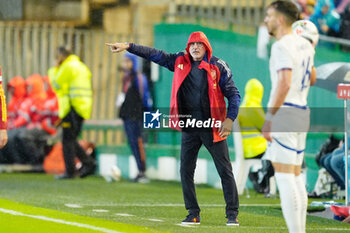 2024-10-15 - Luis de la Fuente, head coach of Spain during the UEFA Nations League, League A, Group A4 football match between Spain and Serbia on October 15, 2024 at Nuevo Arcangel stadium in Cordoba, Spain - FOOTBALL - UEFA NATIONS LEAGUE - SPAIN V SERBIA - UEFA NATIONS LEAGUE - SOCCER