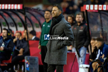 14/11/2024 - Domenico Tedesco head coach of Belgium - BELGIUM VS ITALY - UEFA NATIONS LEAGUE - CALCIO