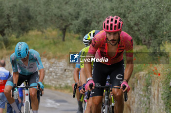 2024-06-23 - 23/06/2024 -NATIONAL CHAMPIONSHIPS ITALY ME- FIRENZE - SESTO FIORENTINO- 228 KM -Bettiol Alberto - ITALIAN PROFESSIONAL CHAMPIONSHIP - MEN - STREET - CYCLING