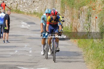 2024-06-23 - 23/06/2024 -NATIONAL CHAMPIONSHIPS ITALY ME- FIRENZE - SESTO FIORENTINO- 228 KM - Ciccone Giulio - ITALIAN PROFESSIONAL CHAMPIONSHIP - MEN - STREET - CYCLING